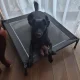 Purlov XXL Dog Bed with Canopy, 90x90x70 cm, Grey