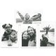 Easypix InstantFUN momentfoto kamera balta