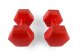 4Fizjo Dumbbells Weight for Fitness Aerobics Sports Training 2x3kg, Red