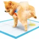 Absorbent Puppy Training Pads 33 x 45 cm, 100 pcs + Waste Bags