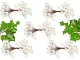 Frosted White Rowan Berries for Christmas Decoration, 5 pcs