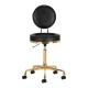 Activeshop H5 Cosmetic Stool with Backrest, Black/Gold