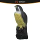 Repest Bird Repeller - Falcon, 40 cm