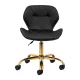 4Rico QS-06G Cosmetic Stool with Backrest, Black/Gold