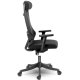 Ergonomic Mesh Office Chair Sofotel Brema, black