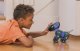 Pyxel Robot Dog Remote Control Using Coding Programming