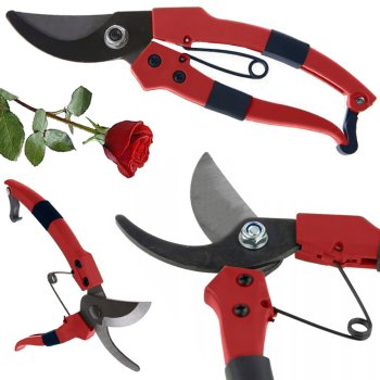 Garden pruner for grafting trees and shrubs red, 18x11 cm