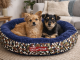 Fluffy Calming Dog Bed for Small Medium Dogs, Soft Round Donut Cuddler Pet Bed