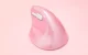 Wireless Vertical Mouse Delux M618Mini DB BT+2.4G 2400DPI (pink)