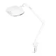 Elegante 6030 Desk Mount Magnifying Lamp 60 SMD LED