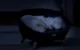 Petoneer Cozy Sofa Smart Thermo-Regulating Pet Bed
