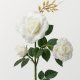 Solar Garden LED Rose Light, 3 Artificial Flowers, GARDLOV, white