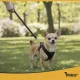 Purlov Guard Pressure-Free Harness with Leash for Dogs and Cats, XS