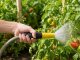 Garden Hose Spray Gun with Connectors, Yellow-Black