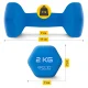 4FIZJO Cast Iron Dumbbell Set with Stand, 12 kg
