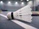 Durable Nylon Badminton Shuttlecocks 5-Piece Set for Training, White