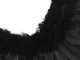 Feather Angel Wings Black Fairy Tale Costume Cosplay Halloween Disguise