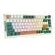 Wireless Mechanical Gaming Keyboard Royal Kludge RKH81 LED RGB, Sky Cyan switch, green