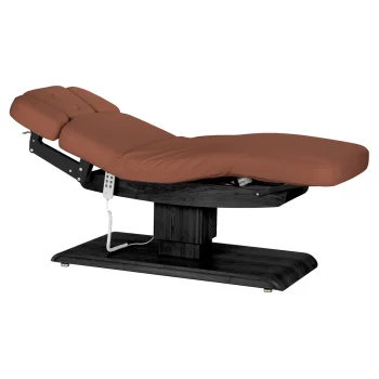 Electric SPA Treatment Bed Sillon Relax, Brown with Dark Wood Base