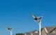 Superfire FF5-D Solar Lamp, 486W, 1400 lm, 20000 mAh with Remote Control
