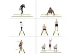 Coordination Training Agility Ladder, 6m
