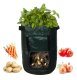 Planting Bag for Vegetables and Potatoes, 33x47 cm, Green