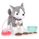 Multistore Interactive Husky Dog on a Leash with Accessories