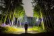 Trizand 5 x LED T6 CREE Headlamp