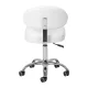 Cosmetic Stool Giovanni Y08 White