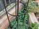 Garden Pergola Flower Support Column Arch for Climbing Plants, 190cm