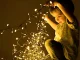 Indoor Christmas Lights, 500 LED, Warm White, 7 Modes, 35m