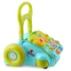 Ricokids 2-in-1 Sit-to-Stand Musical Learning Walker RK-744, Turquoise