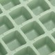 Ice Cube Container with 2 Trays and Scoop DA349, Green