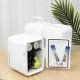 Picnic Beach Mini Cooling Box for Food Drink 220V/12V, 4L, White