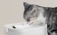 Pet Water Fountain Petlibro Dockstream with Wireless Pump 2.5L