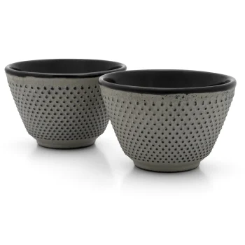 Bredemeijer Jang Tea Cups 153020 0.3L, Pack of 2, Grey Cast Iron