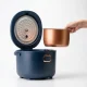 Car Multicooker and Rice Cooker 12V/24V 2L