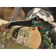 Bosch EasyChain 18V-15-7 Solo Cordless Pruning Saw, 15 cm