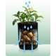 Plonos 496400 Vegetable Grow Bag with Window, 43.3L