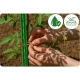 Plonos PL-940 Plant Supports 120 cm, Green, 10 Pcs