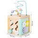 Ecotoys Wooden Educational Cube with Sorter and Maze