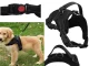 Strong No-Pull Dog Harness with Handle Lightweight S