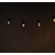 Solar Garden String Lights 10 LED Bulbs, Loft Style