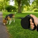 Retractable Dog Leash, 5m, up to 15kg, Black