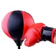 Kids Boxing Punch Pear with Gloves