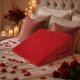 Large Firm Red Cushion