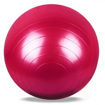 Gymnastic Exercise Ball with Pump 65cm, Red