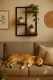 ModernHome 3-Tier Wall Shelf for Flowers and Decor