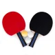 Table Tennis Set (2 Paddles + 3 Balls)