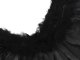 Feather Angel Wings Black Fairy Tale Costume Cosplay Halloween Disguise